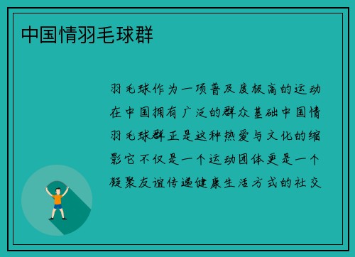 中国情羽毛球群
