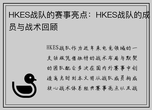 HKES战队的赛事亮点：HKES战队的成员与战术回顾